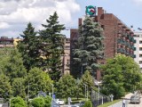 Daylight samples, telephoto camera (7x) - 170mm, f/2.8, ISO 50, 1/544s (4096x3072px) - Oppo Reno16 review
