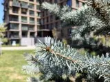 Daylight samples, main camera (1x) - 26mm, f/1.5, ISO 50, 1/615s (4096x3072px) - Redmi Note 17 Pro Max review