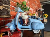 Daylight samples, main camera (1x), 50MP - 23mm, f/1.8, ISO 478, 1/50s (8160x6120px) - Tecno Pova 8 review