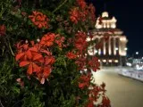 Low-Light-Beispiele, Hauptkamera (1x) - 23mm, f/1.7, ISO 6910, 1/14s (4080x3072px) - vivo X Fold6 Test